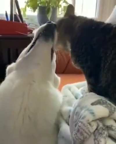 Best friends