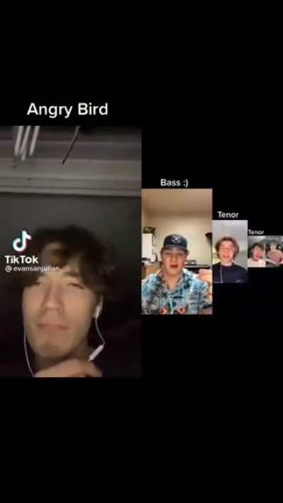 😡🐦