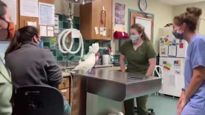 vets showing some love. sound on.