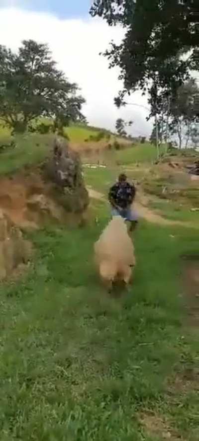 Perfect timing