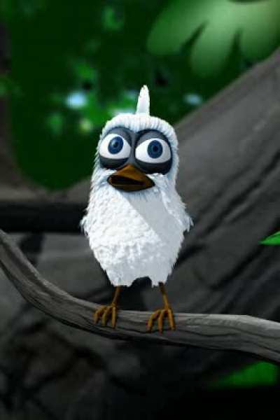 Super ibird