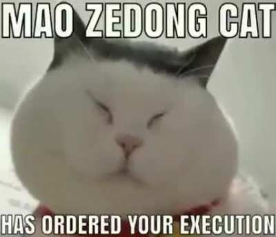 😡👎