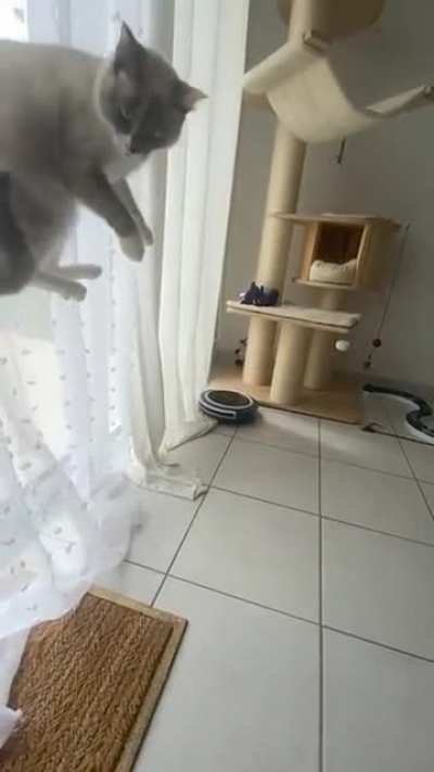 Slo mo Startle