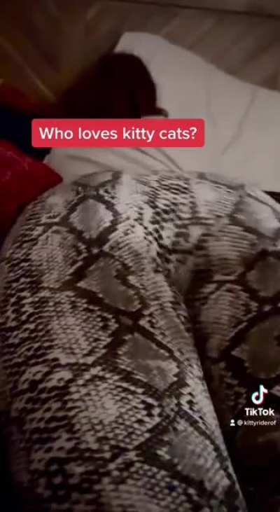 TikTok has me down bad