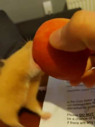 Yeah sure. Take the WHOLE apple