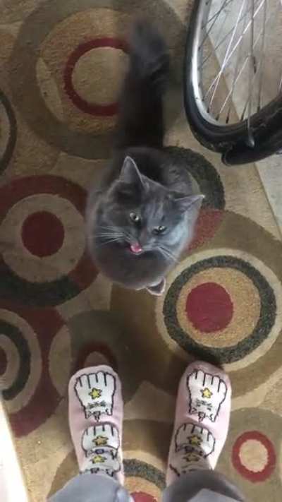 Wee AA-