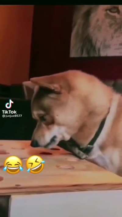 He so hangry