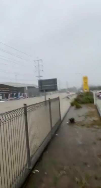 Flash Flooding in a supermarket in Auckland New Zealand