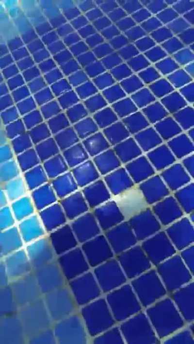 Drowning From Unsatisfaction