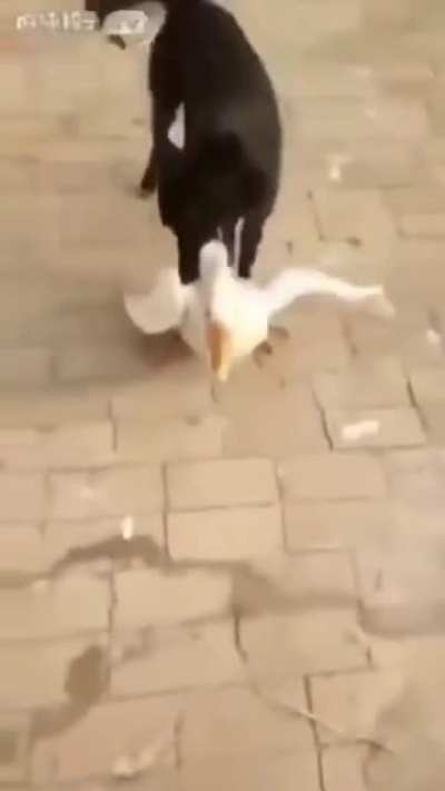 Expect this in Russia