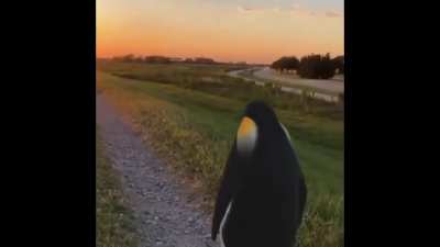 Man