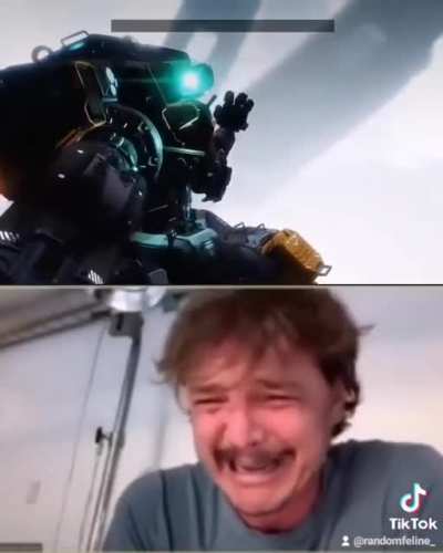 Adiós bt