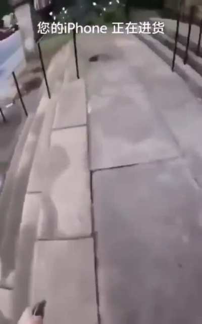 Romanian parkour 💪🇷🇴