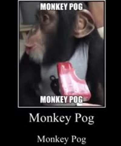 Monke pog