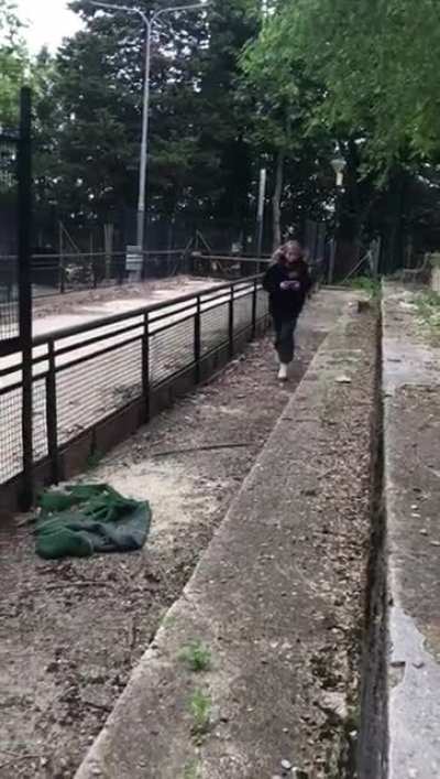 lol