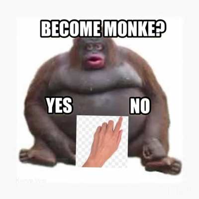 Monke