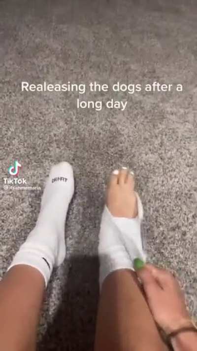 🐶