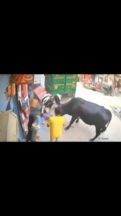 [LFO] CCTV Footage Shows Two Cows Suddenly Enter Busy Street in India