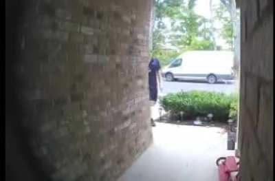 FedEx driver vs spiderweb
