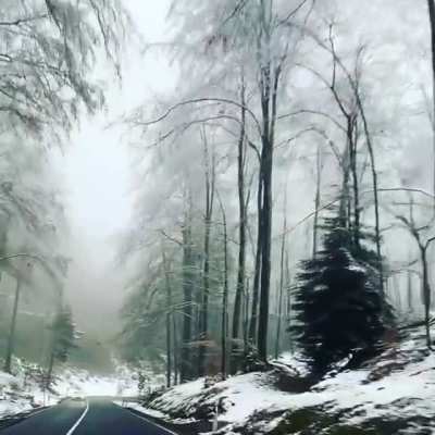 Winter wonderland in the Pfälzerwald (Palatinate Forest) of Rheinland-Pfalz, Germany