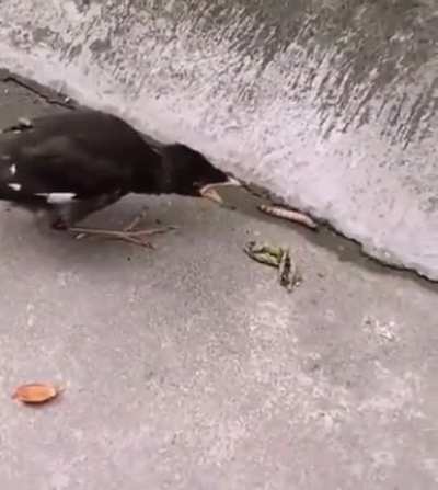 How to feed itself!