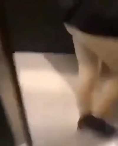 Toilet goblin