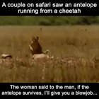 What men will do for a BJ lol