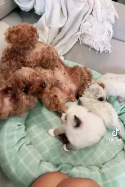 They favor the father’s side of the family!