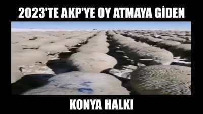 Konya