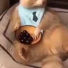 Yum yum
