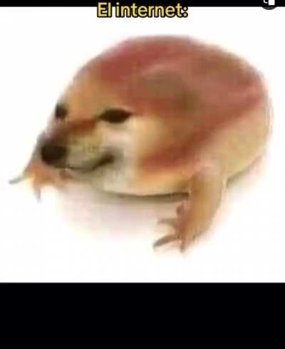 🫡🕊️