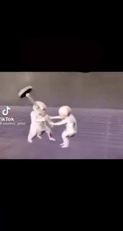East, Southeast and South Asians fighting for dominance in this subreddit