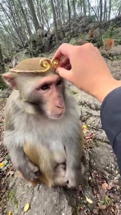 Hoy es un día especial, Felicidades!