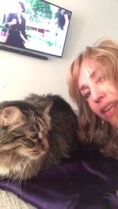 My mom (visiting) tried to get a video with my cat