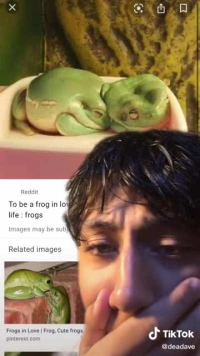 Frogs in love <3