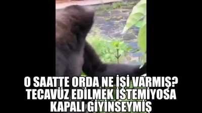 kadının giyim kuşamına karışan orospu evlatları, dışardan bakıl<wbr>dığın<wbr>da aynı buna benziyosunuz