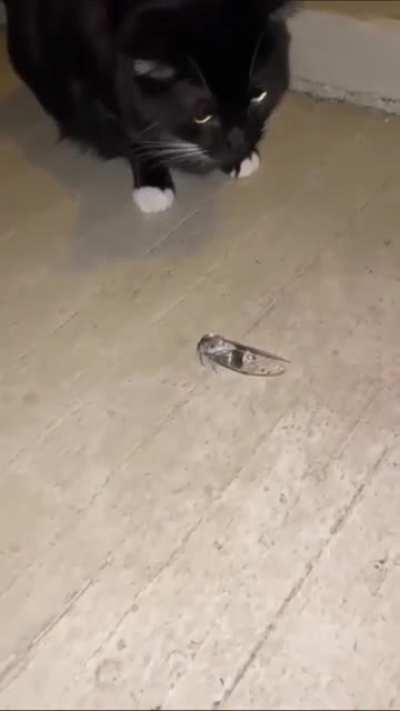 Touching it