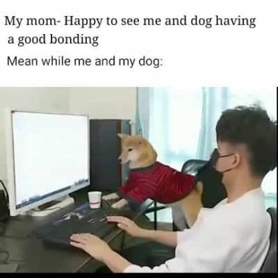 I just love my dog