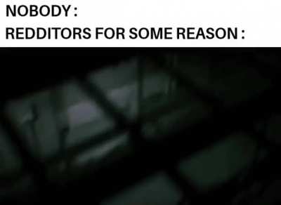 🗿🗿🗿🗿