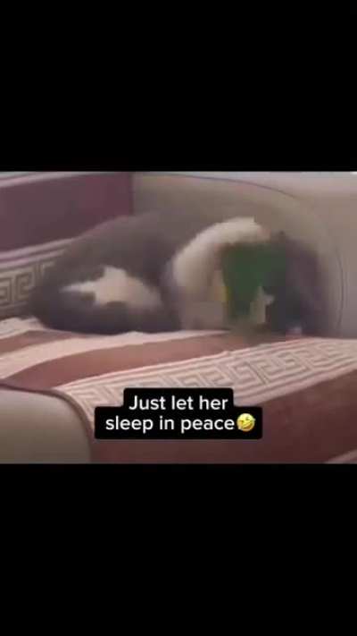 Maybe Maybe Maybe
