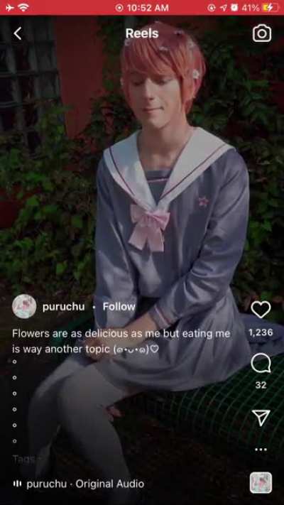 🌸
