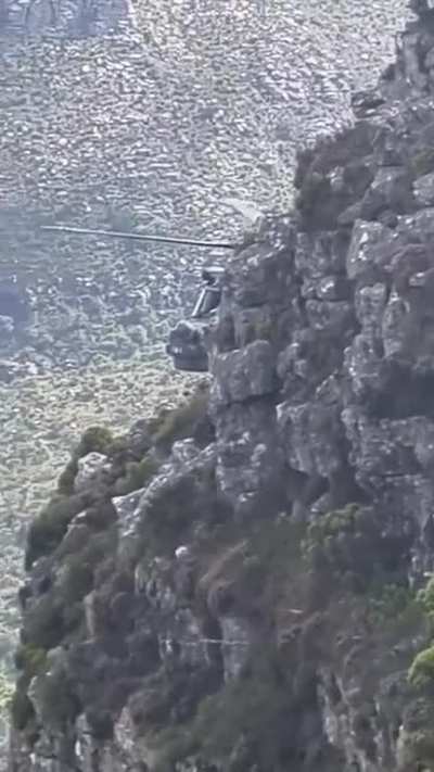 Found this Lynx while hiking up Table Mountain in South Africa with my mates. Just so you know, this was the first time I've seen a helicopter up close so excuse how amazed I am.
