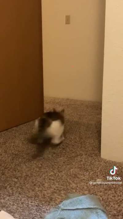 Ayoooo