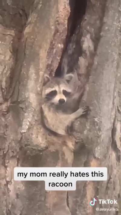 You didn’t see me