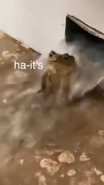 me irl