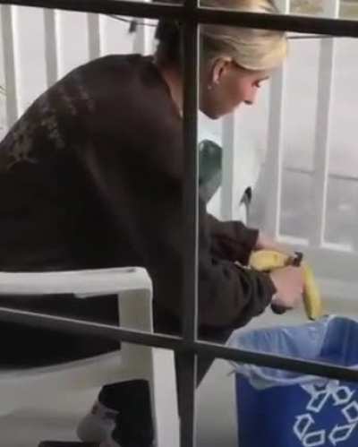 Attempting to enjoy a human snack