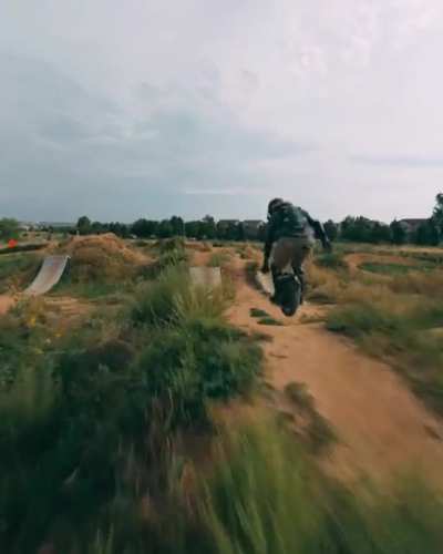 Electric unicycle