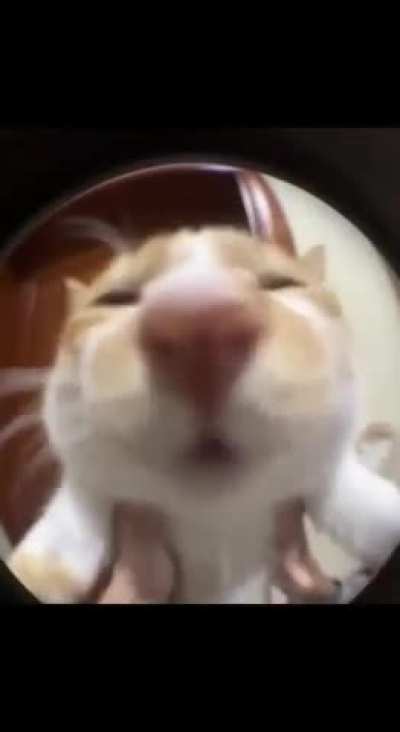 Soft-spoken Wunker