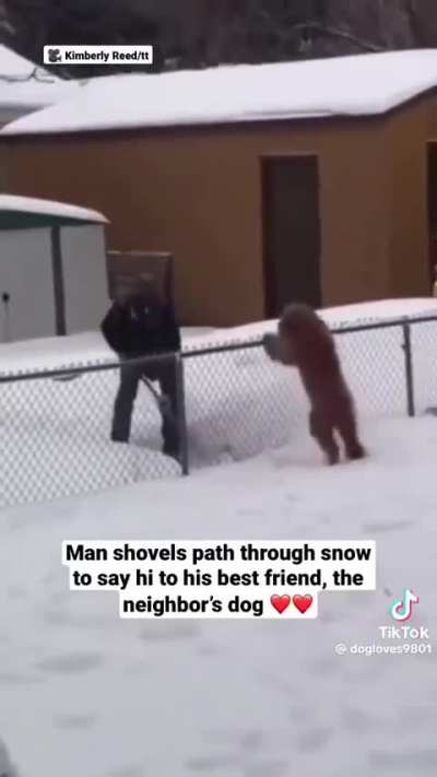 🐶