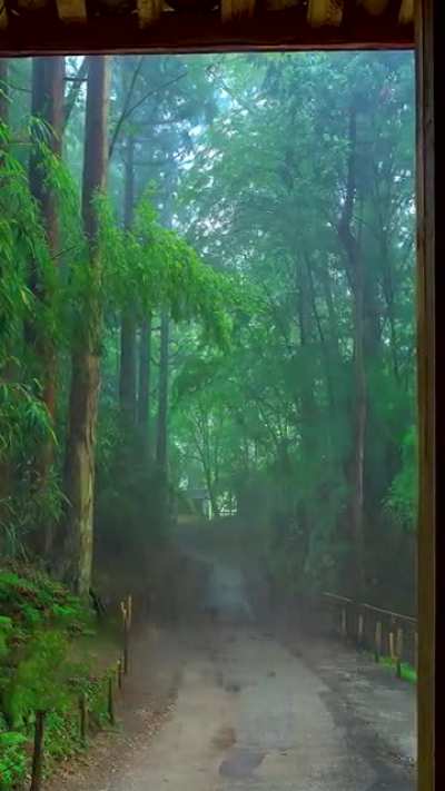 Enjoy the nature with rain